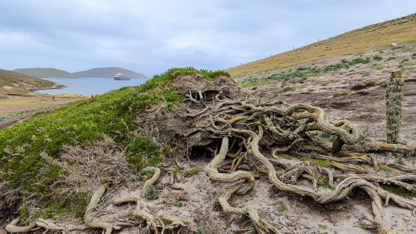 Falkland Islands