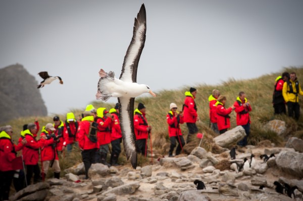 Falkland Islands